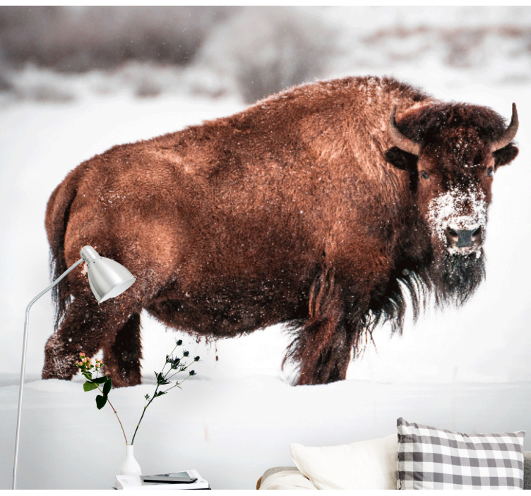 Polonya zubr doğa duvar resmi - TenStickers