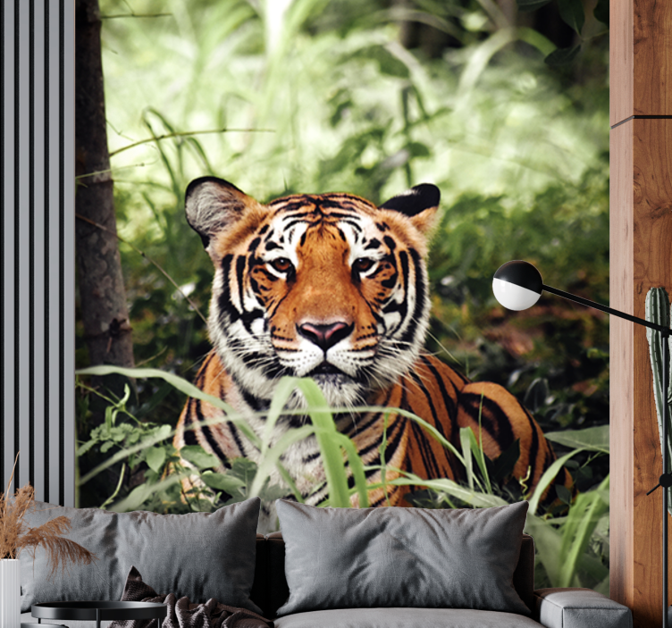 Sana bakan sevimli kaplan duvar kağıdı - TenStickers