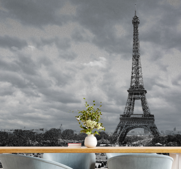 Siyah beyaz paris şehir duvar resmi - TenStickers