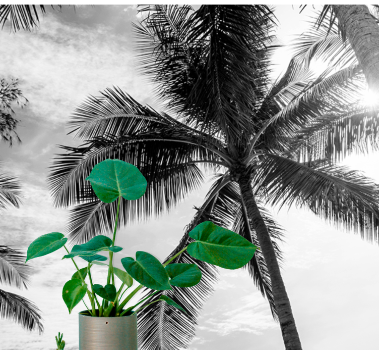 Siyah ve beyaz palmiye ağacı duvar resmi - TenStickers