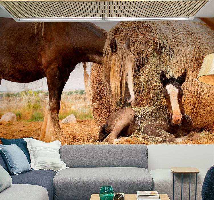 Genç at, ile, wheet, doğa, duvar resmi - TenStickers