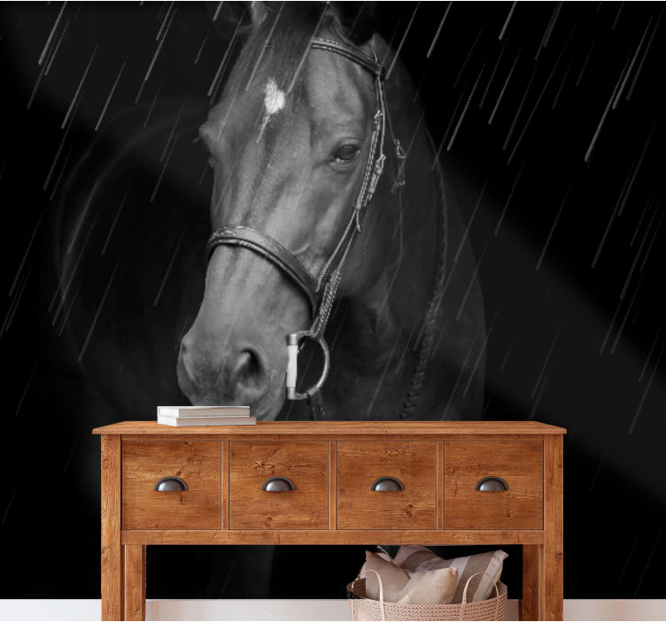 Yağmurda onurlu at duvar kağıdı - TenStickers