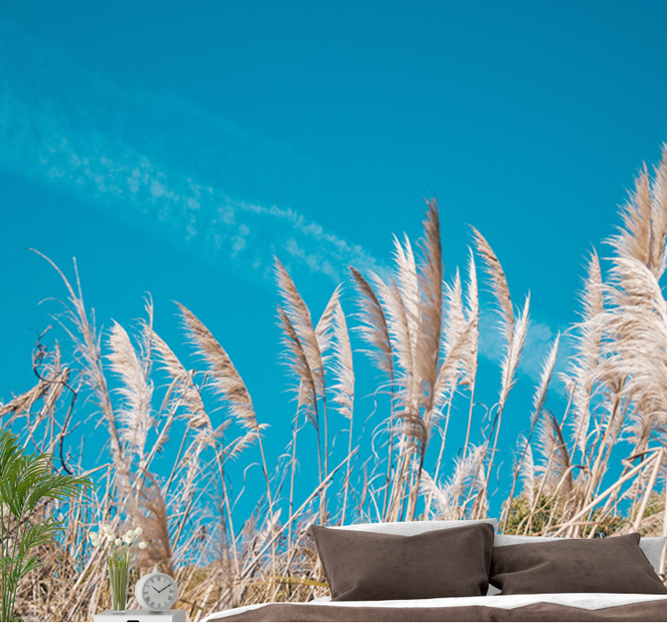 Yaz ve güneşli pampas otu doğa duvar kağıdı - TenStickers