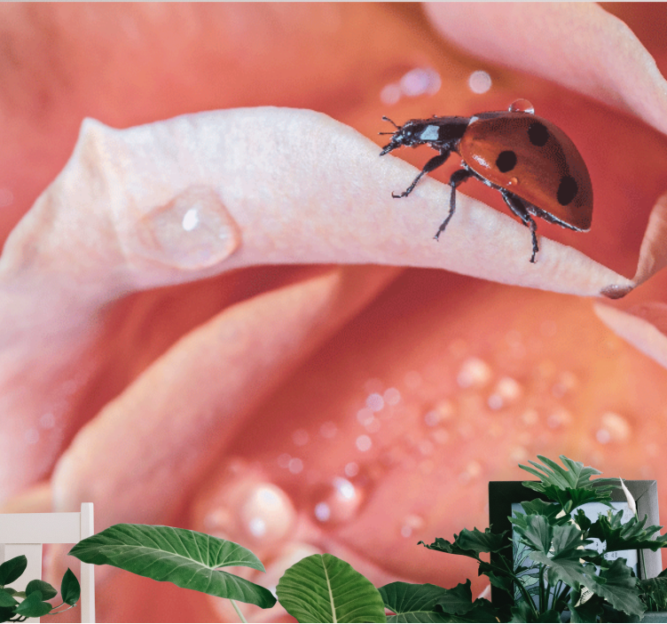 Zarif stil pembe çiçek uğur böceği duvar kağıdı - TenStickers