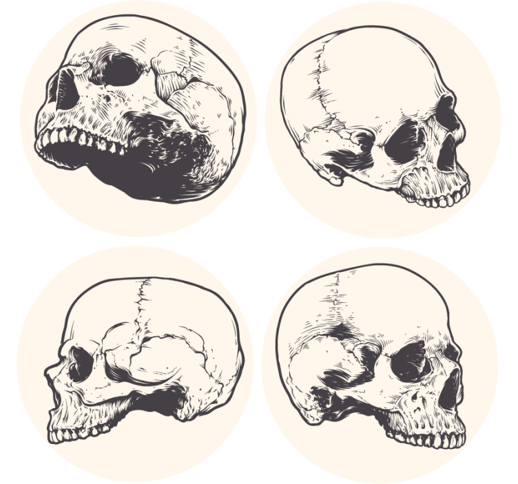 Kafatası çizim cadılar bayramı coaster - TenStickers