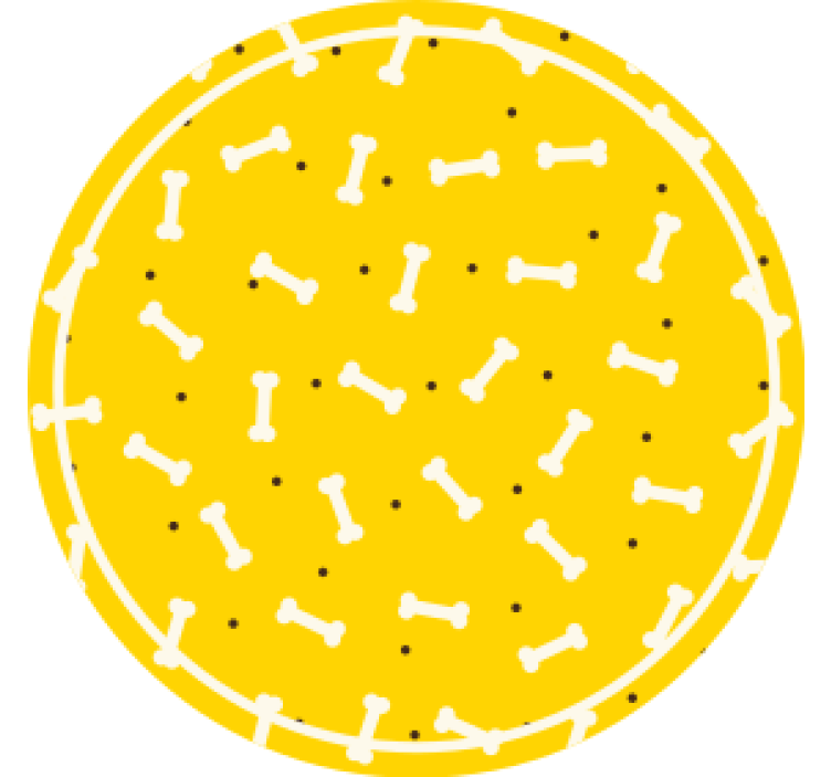 Ucube bardak altlığı kemik desenli yuvarlak - TenStickers