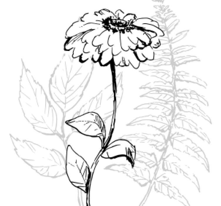 Bardak altlığı botanik Çizgi sanatı - TenStickers