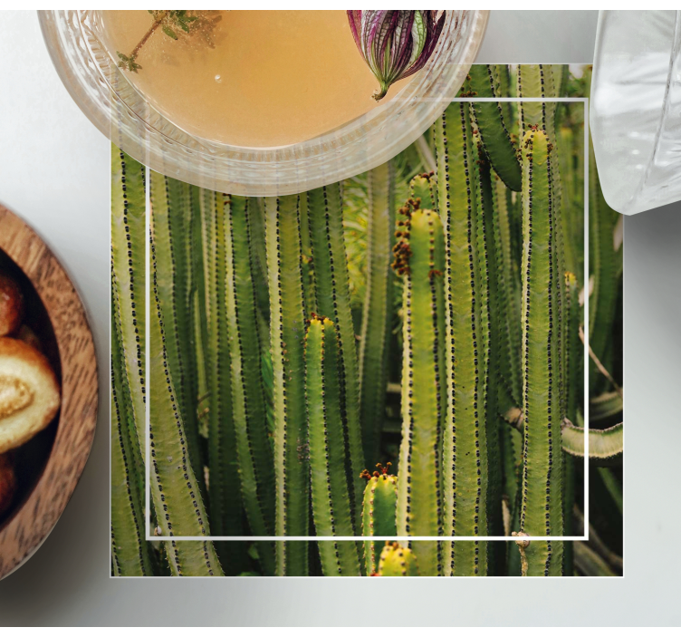 çöl bitkileri ve kaktüs doku treni - TenStickers