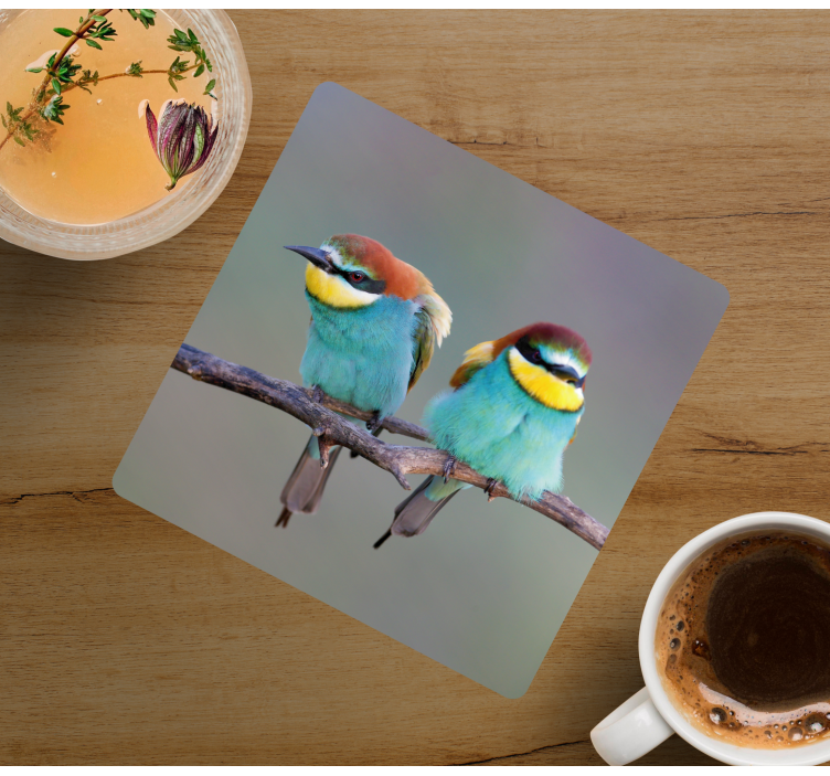 Iki mavi kuş modern coaster - TenStickers