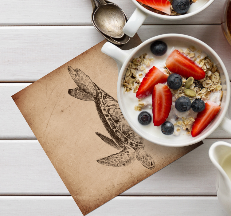 Kaplumbağa illüstrasyon vintage bardak altlığı - TenStickers