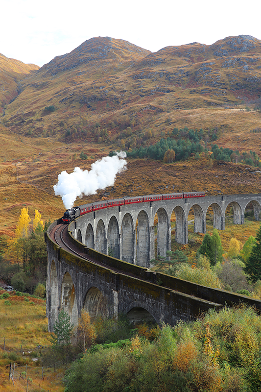 Hareket eden tren Gerçekçi fotoğraf posteri - TenStickers