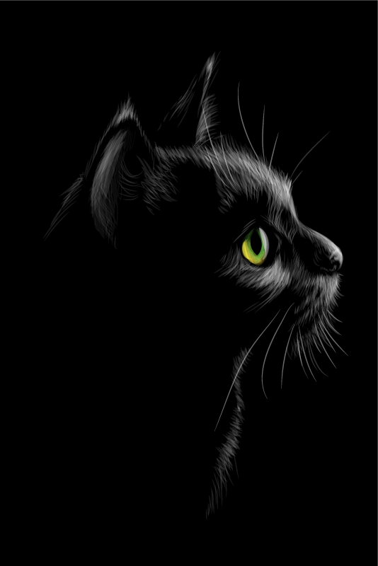 Oturma odası afişi yeşil gözlü kediler - TenStickers