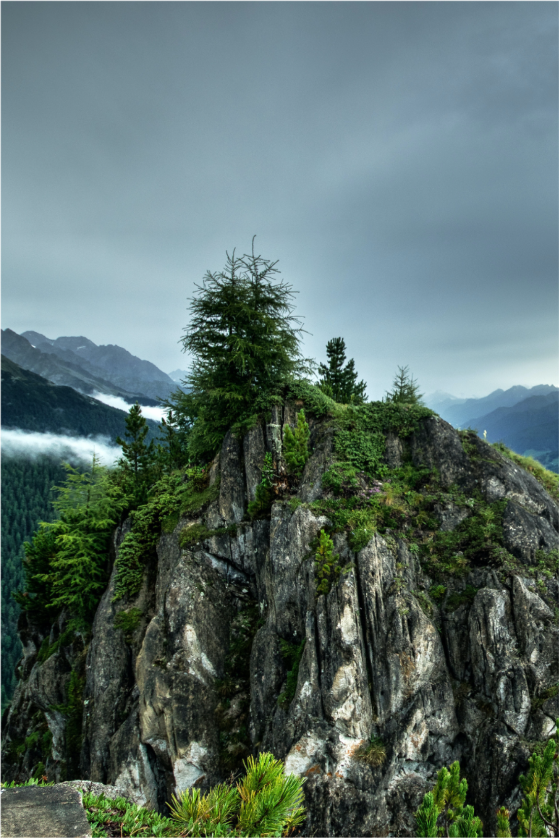 Oturma odası afişi yeşil ormanda tek kayalık - TenStickers