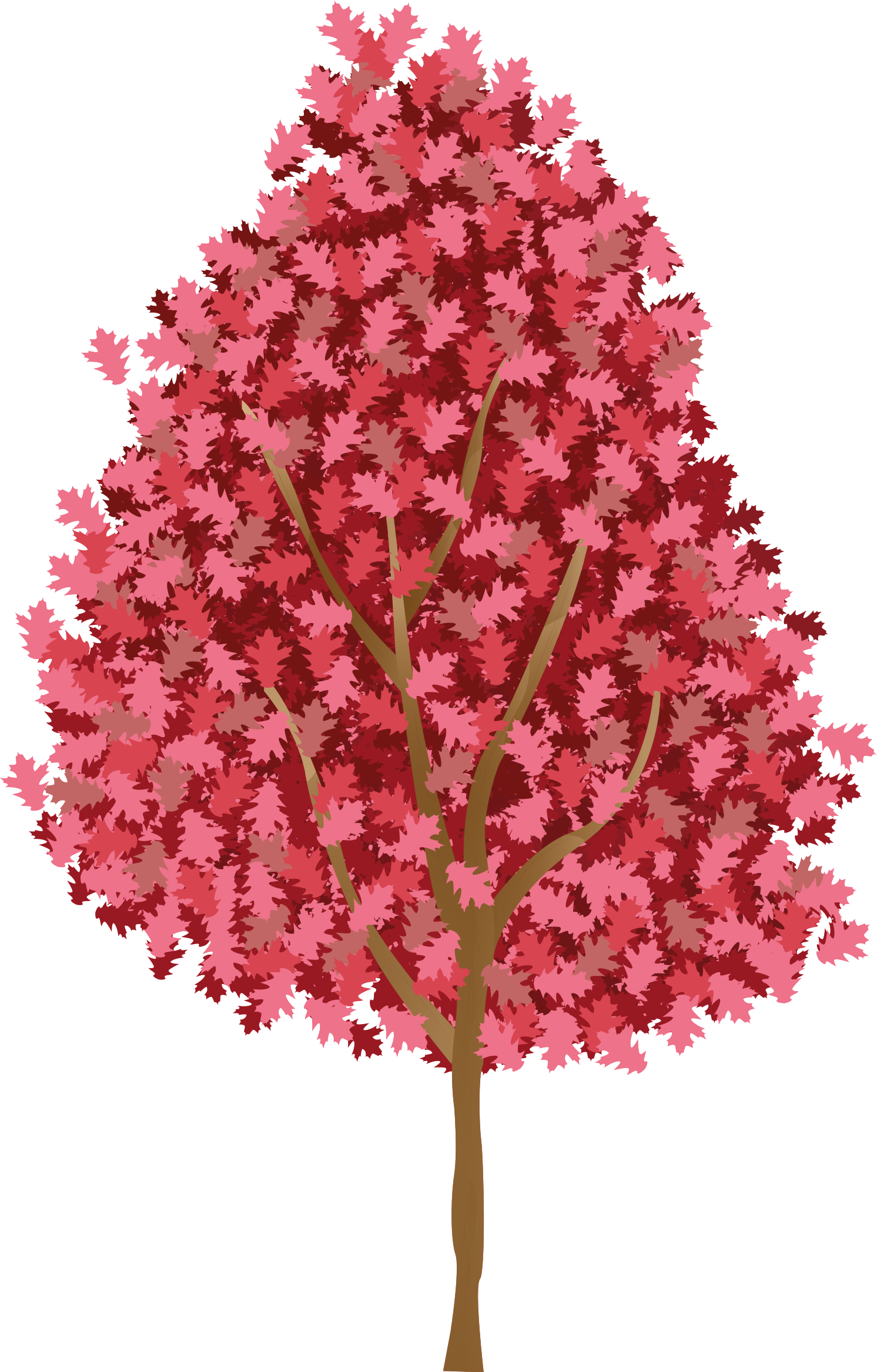 Ağaçlar afiş pembe çiçekli ağaç - TenStickers