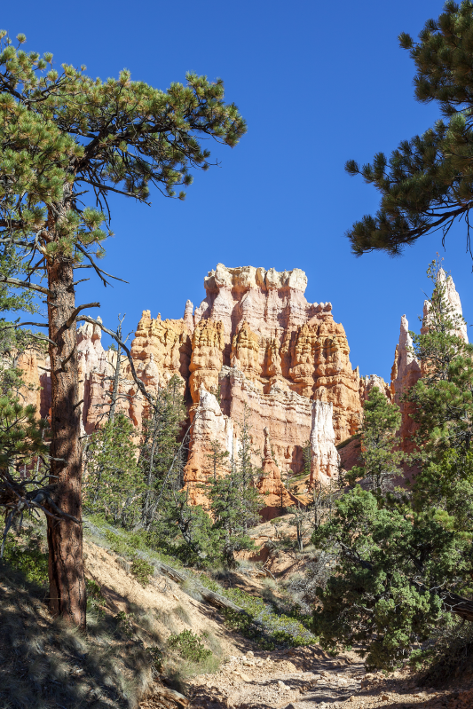 Bryce canyon manzaralar afiş - TenStickers
