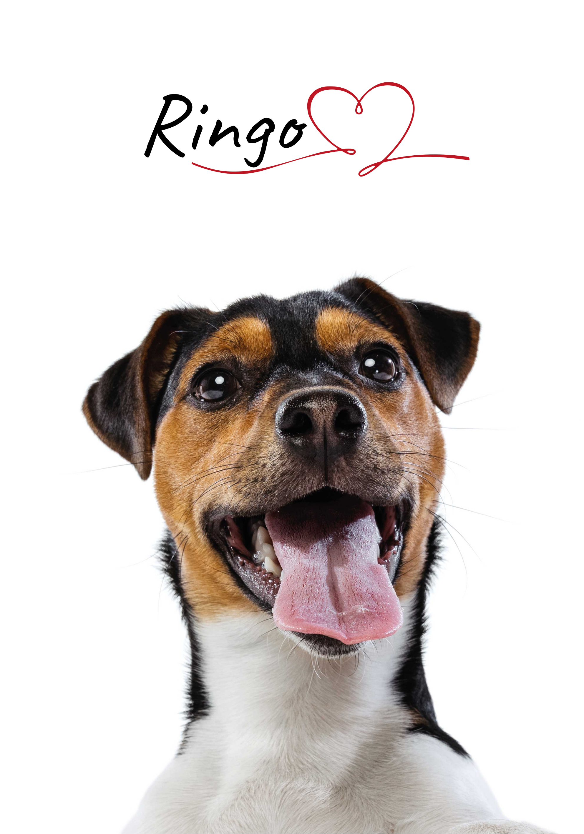 Duvar için özel köpek aşk posteri - TenStickers