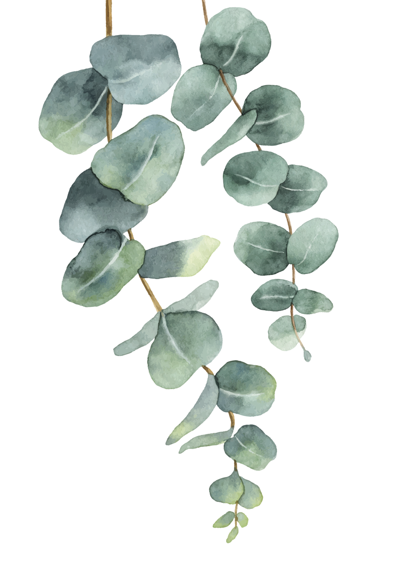 Eucalyptus Dalgaları ağaçlar afiş - TenStickers