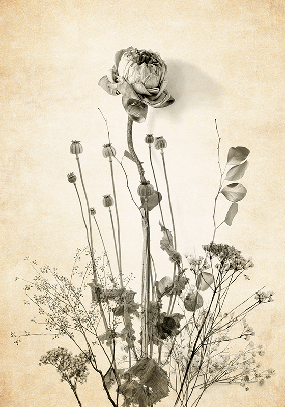 Bej zemin üzerine çiçek buketi çiçekler afiş - TenStickers