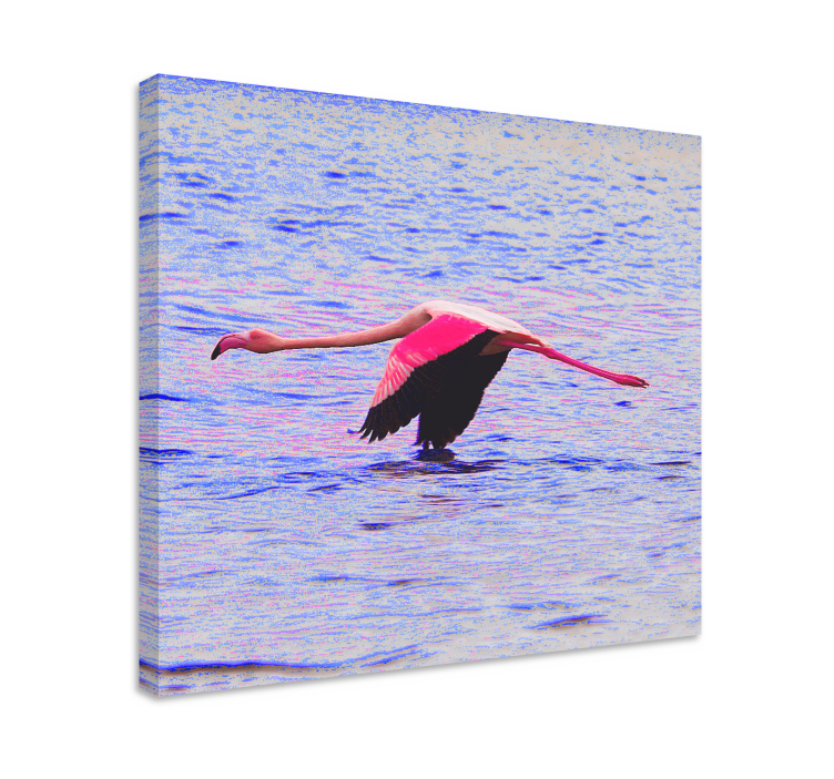 Balık tablo uçan flamingo - TenStickers