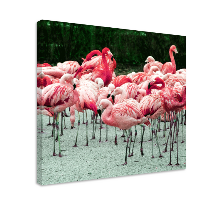 Köpek tablo flamingo sürü - TenStickers