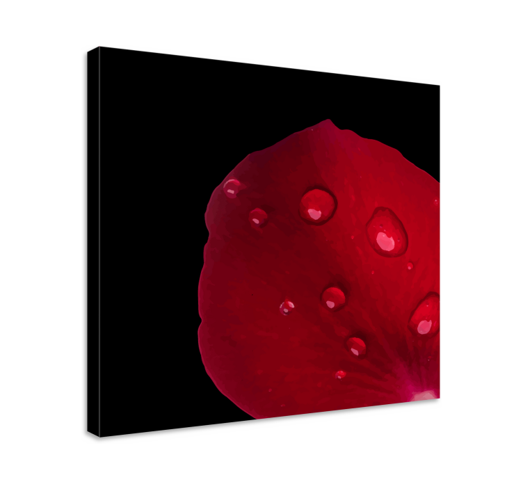 Su damlaları ile kırmızı gül deseni çiçek tuval - TenStickers