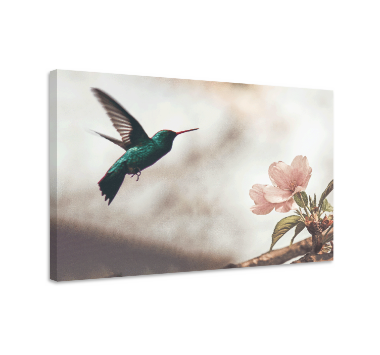Kuş tablo - salkım ve hummingbird - TenStickers