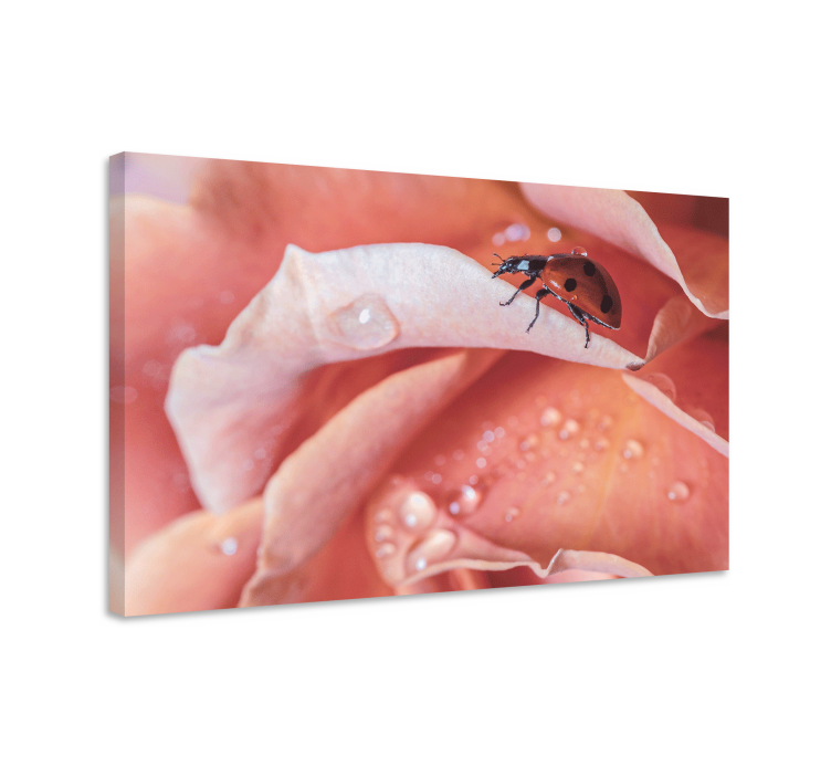 Çiçekler ve bitkiler kanvas tablo gül üzerindeki uğur böceği - TenStickers