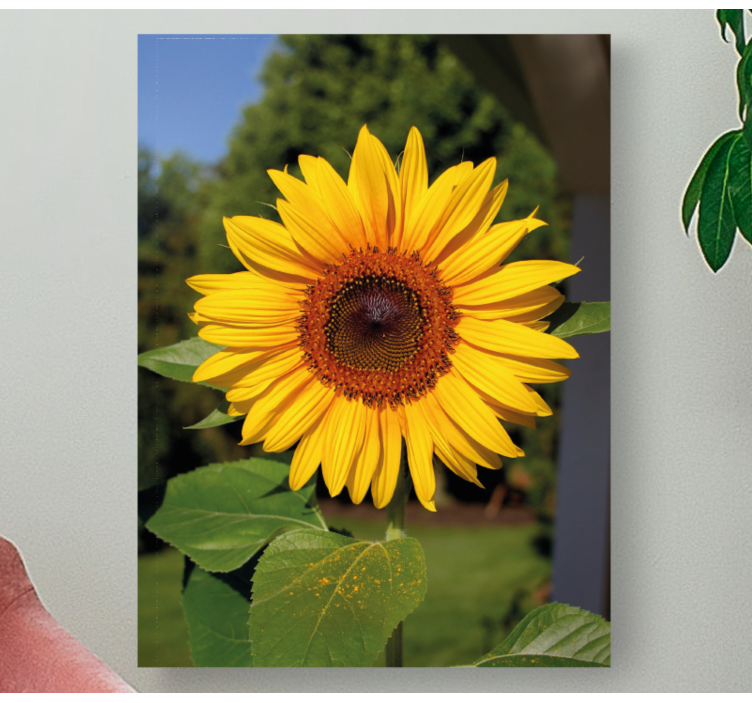 Ayçiçeği yeşil arka plan çiçek tuval üzerine - TenStickers