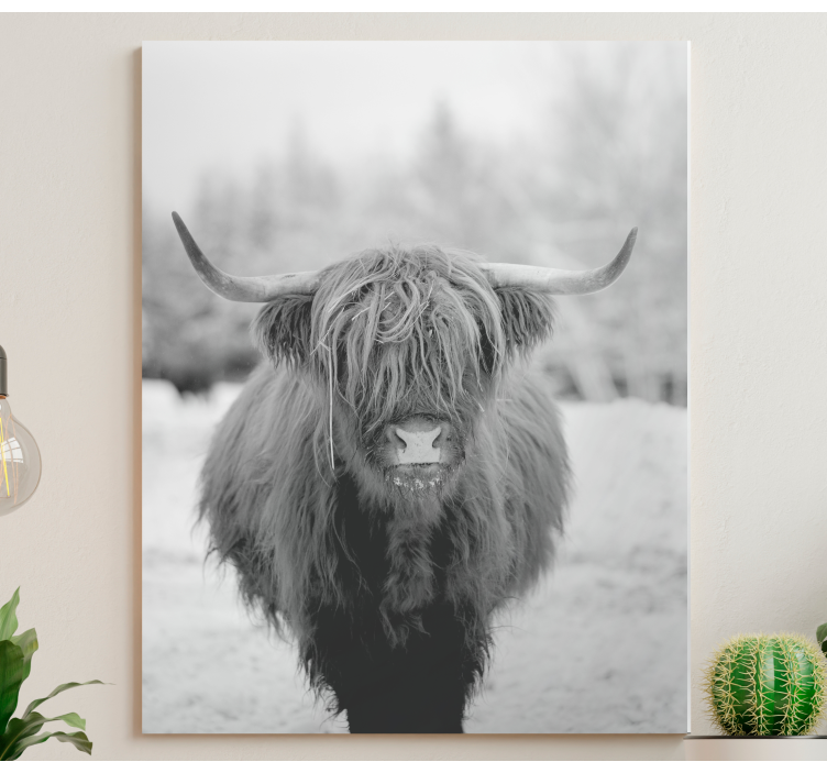 Hayvanlar tablo highland cow portresi - TenStickers