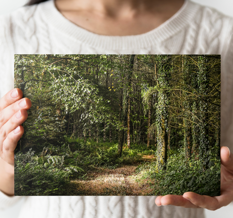 Ormanda doğa yapraklı yol ağaç duvar tuvali - TenStickers