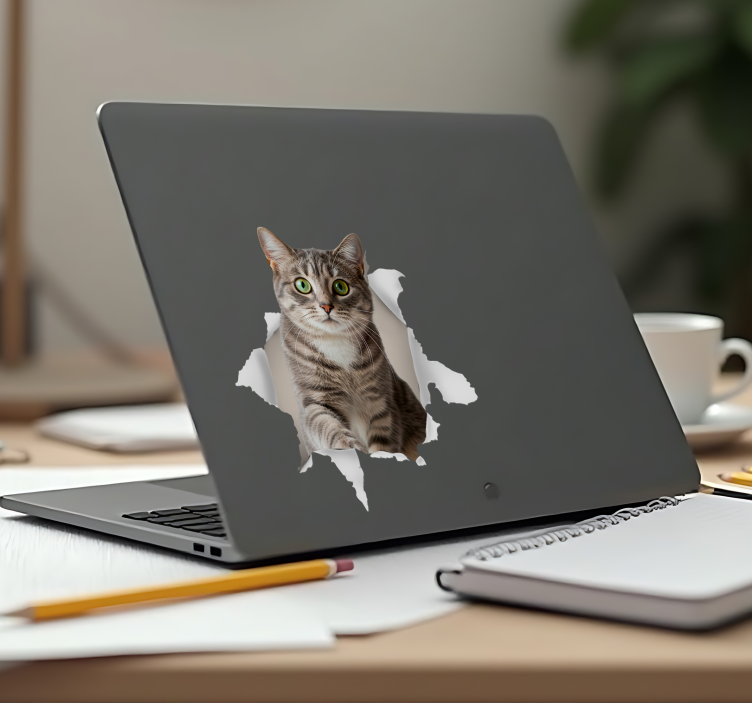 3 boyutlu kedi Dizüstü bilgisayar çıkartması - TenStickers