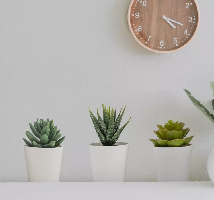 3d kaktüsler tencere duvar duvar çıkartmaları - TenStickers