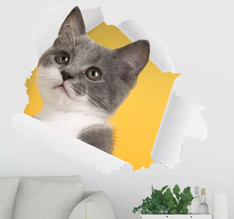 3d kedi sticker duvar sticker - TenStickers