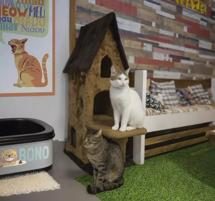 Kedi Kumluk Kutusu kedi stickerları - TenStickers