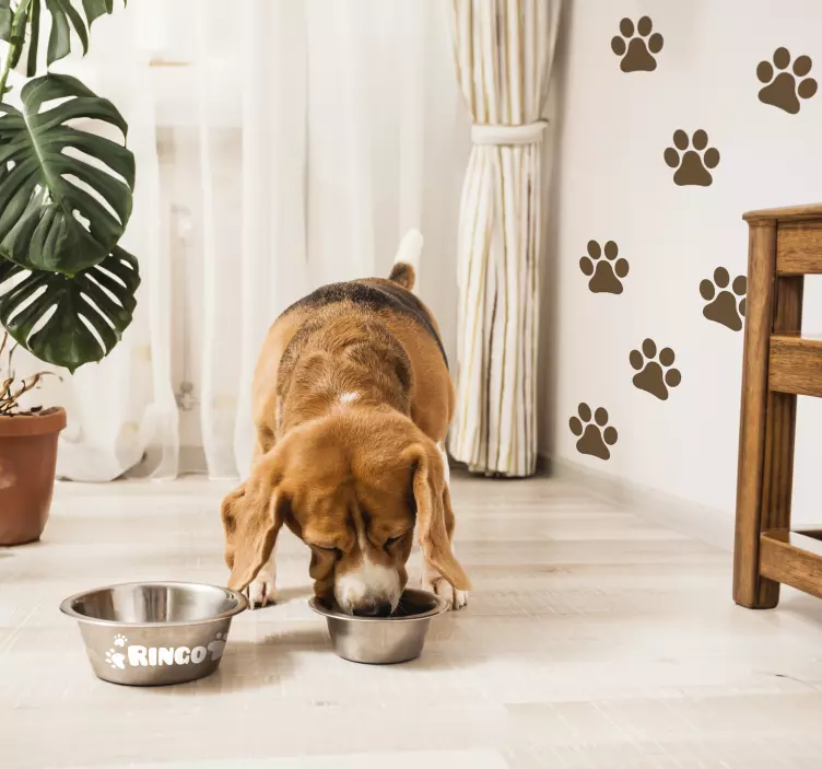 Pençe baskılar etiket seti - TenStickers