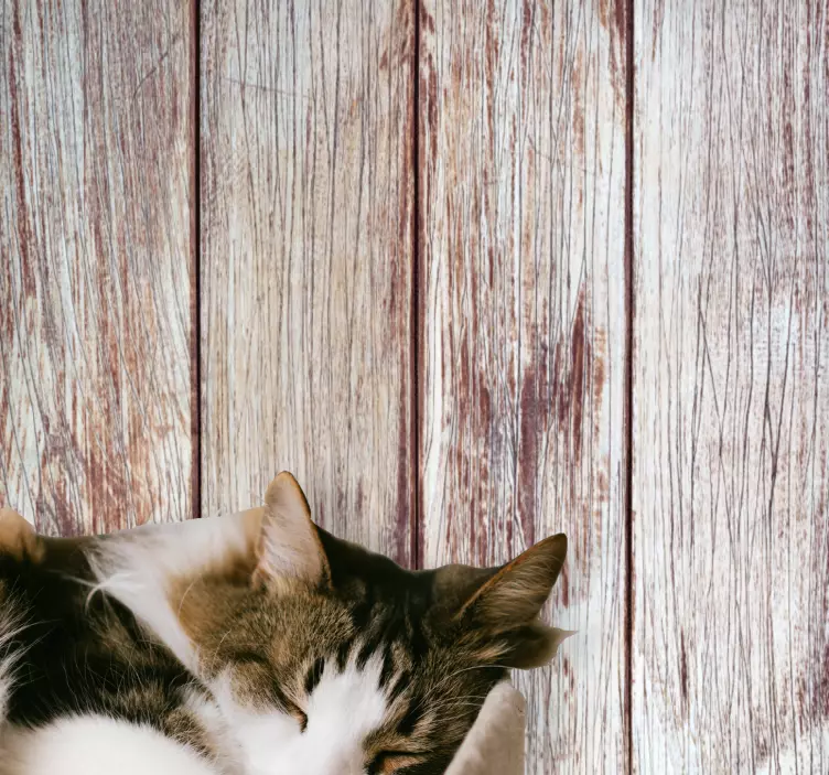 Açık kahverengi ahşap plakalar vinil baskı çıkartması - TenStickers