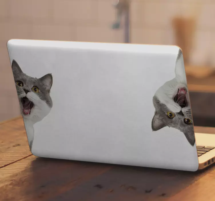 Kedi beyaz arka planda laptop derileri casusluk - TenStickers