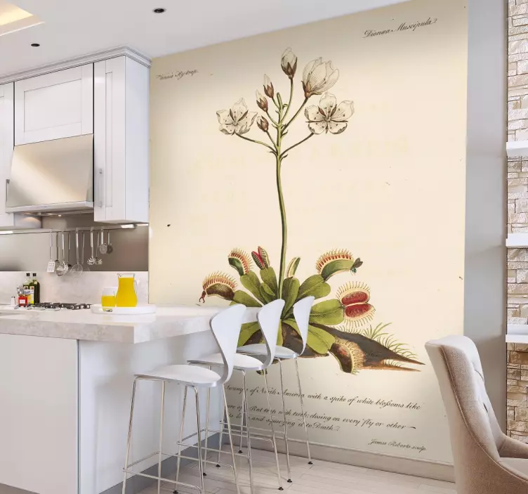 Eski botanik çiçek çıkartması - TenStickers