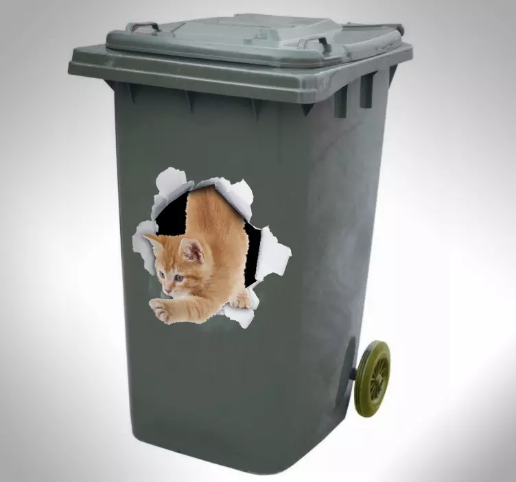 Kedi trompe l'oeil konteyner çıkartması - TenStickers
