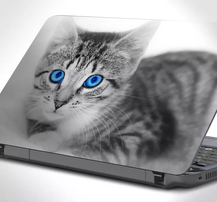Mavi gözlü kedi laptop sticker - TenStickers
