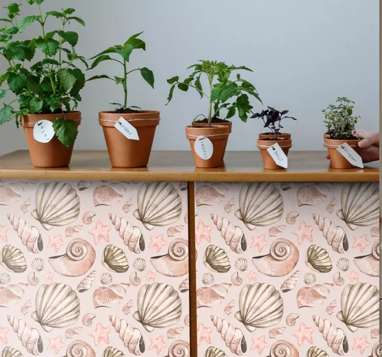 Deniz kabukları mobilya çıkartması - TenStickers