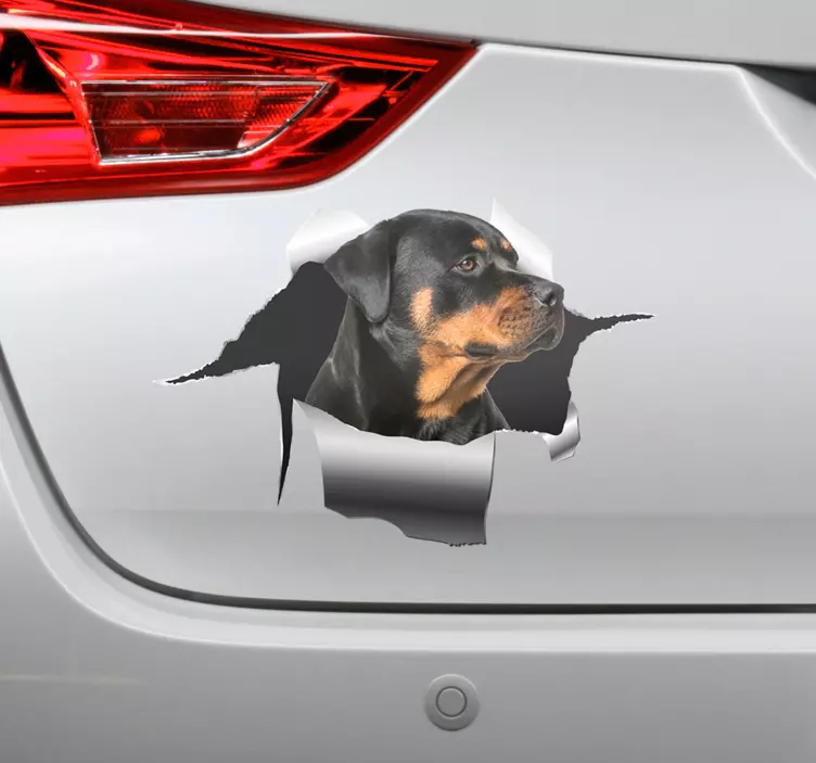 Rottweiller delik çıkartması evcil hayvan çıkartması - TenStickers