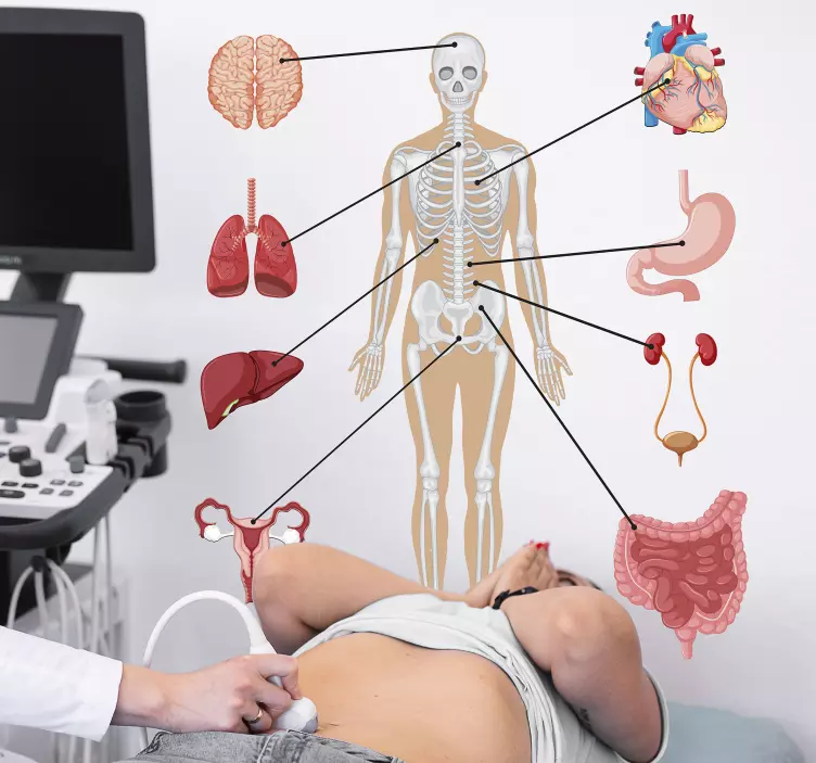 Tıbbi infographics duvar çıkartması - TenStickers