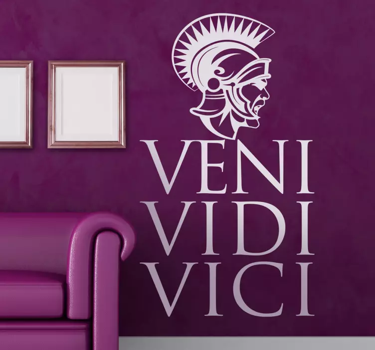 Veni vidi vici dekoratif çıkartması - TenStickers