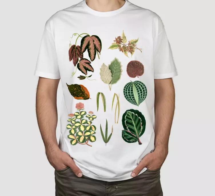 Kırmızı marante yaprakları özel tişört - TenStickers