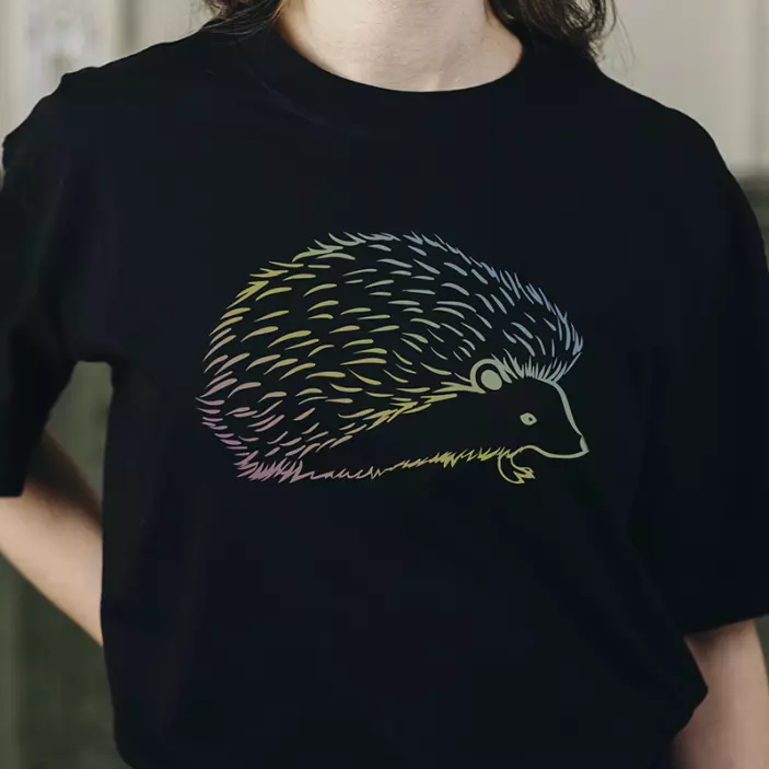 Kirpi çizgili t-shirt - TenStickers