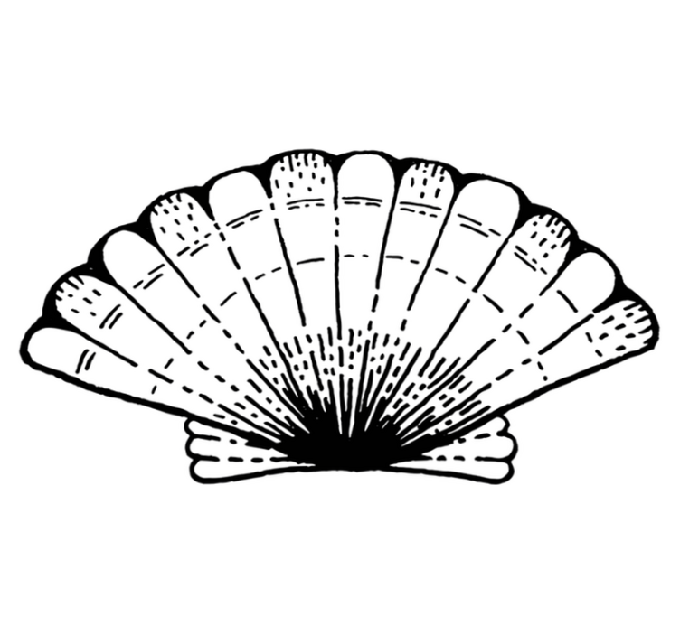 Deniz kabuğu hayvan vinil halı - TenStickers