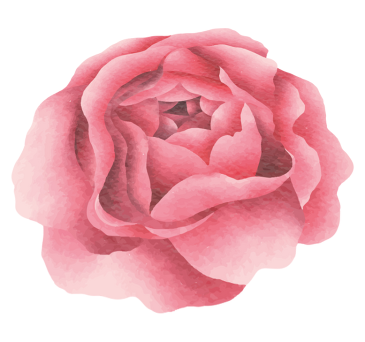 Pembe gül doğa vinil halı - TenStickers