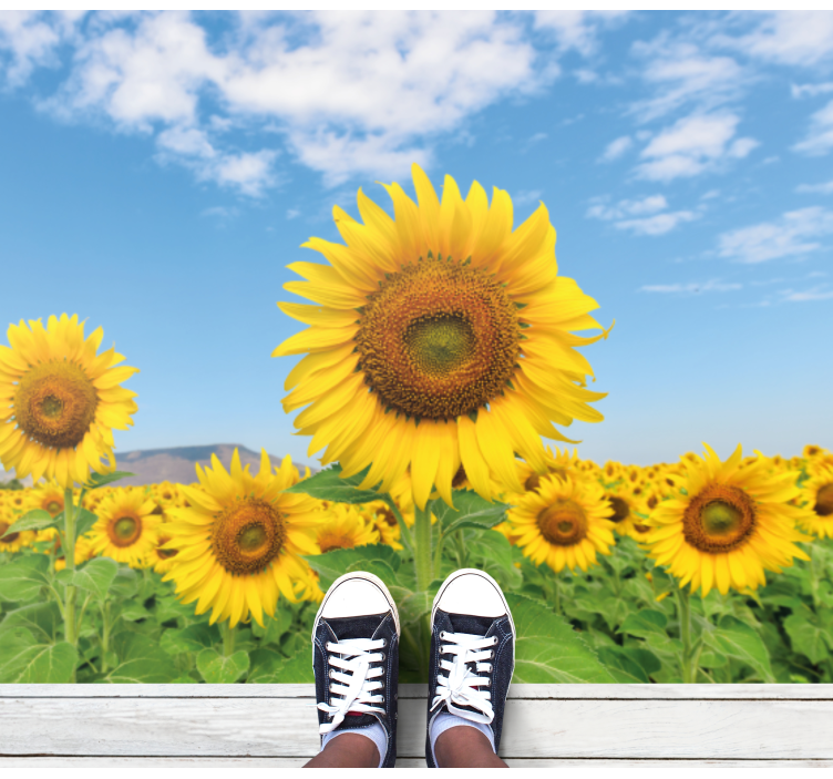 Ayçiçeği tarlası çiçek vinil kilim - TenStickers