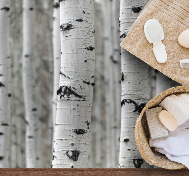 Beyaz huş ağacı orman doku halı - TenStickers